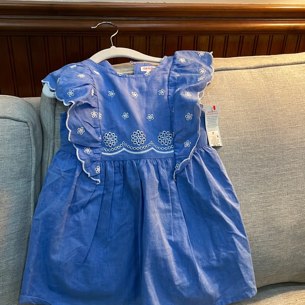 Cat and Jack dress